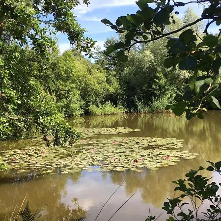 Forellenhof Apartment *