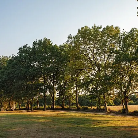 Apartment Forellenhof