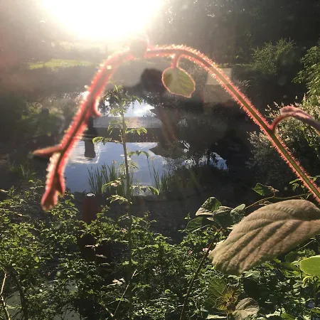 Apartment Forellenhof