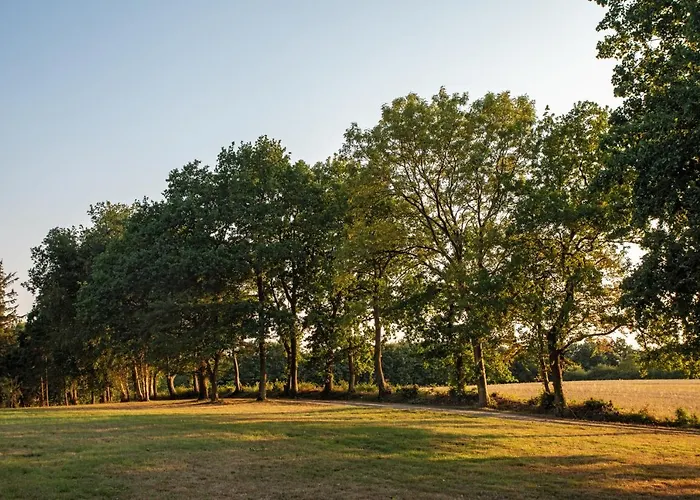 Lejlighed Forellenhof